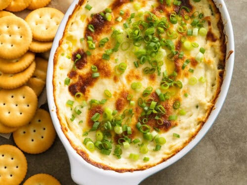 Vidalia Onion Dip Recipe